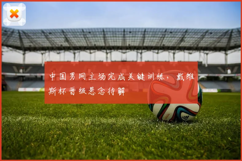 中国男网主场完成关键训练，戴维斯杯晋级悬念待解