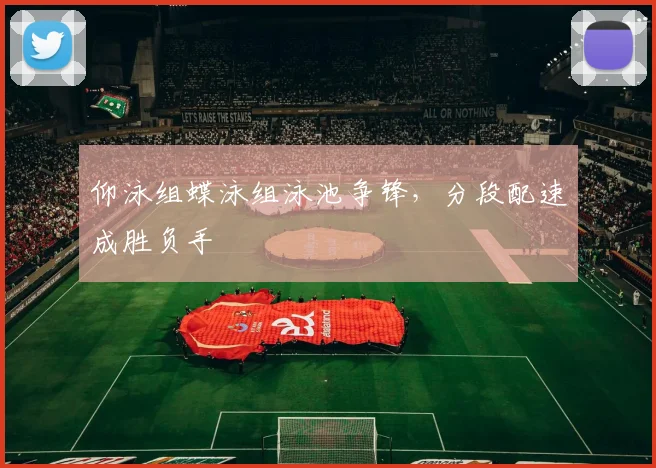 仰泳组蝶泳组泳池争锋，分段配速成胜负手